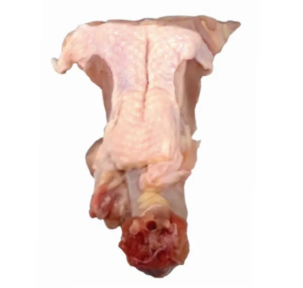 Chicken Back